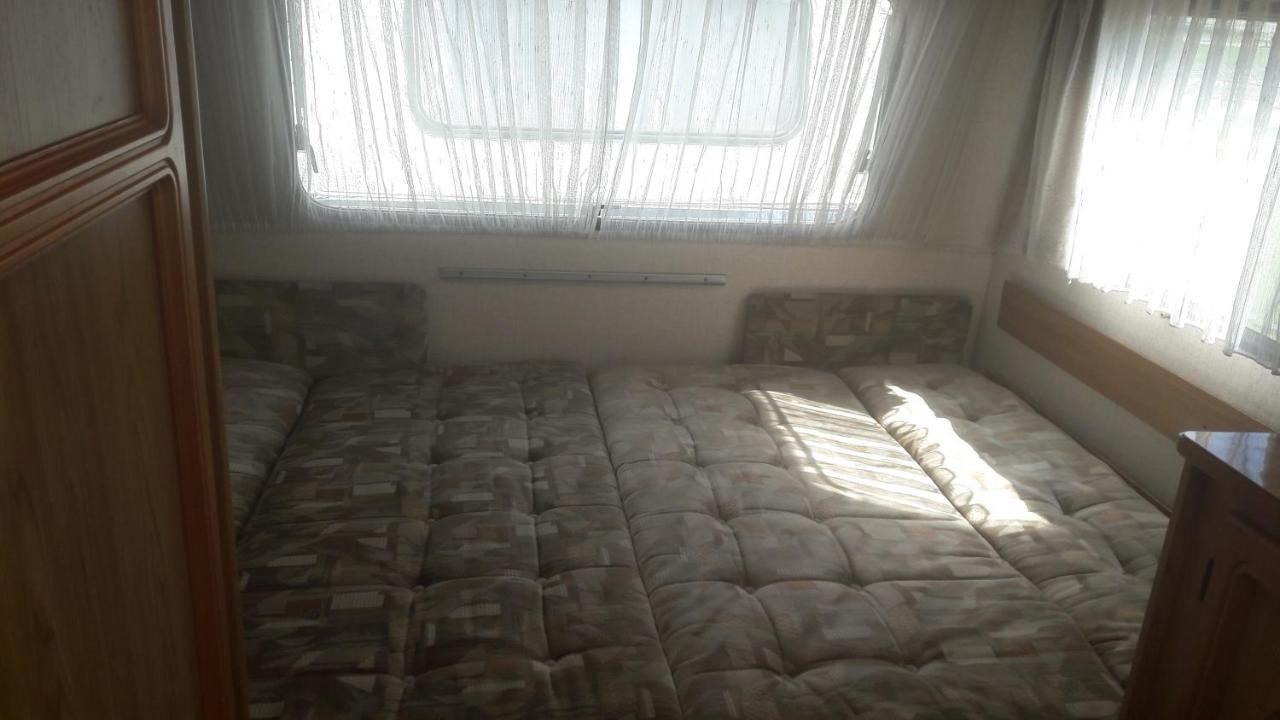 Campsite Blekitna Ostryga *